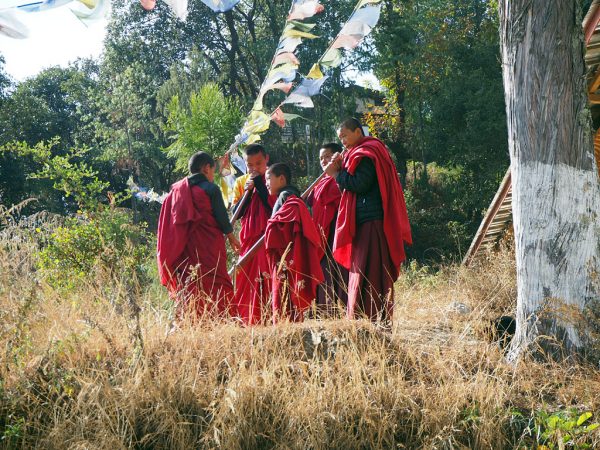 eine gruppe von moenchen in ihrer roten bekleidung auf dem weg zum Kloster