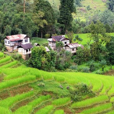 Lepcha Häuser und Reisterrassen Sikkim