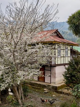 Shakti Haus in Sikkim