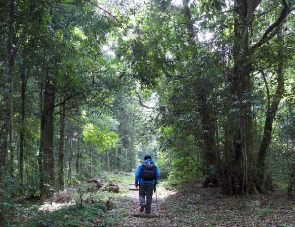 luxuriöses Wanderabenteuer mit Shakti Sikkim