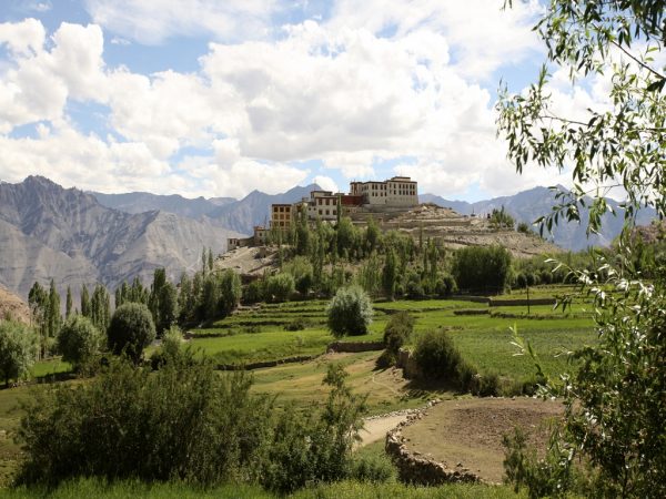 Walk with Shakti to Phyang Ladakh
