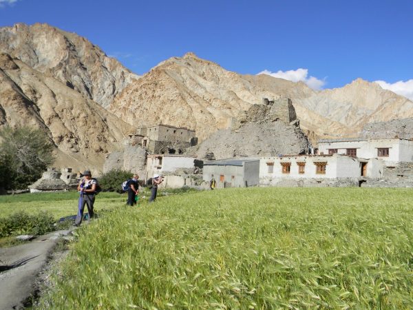 Chilling Ladakh