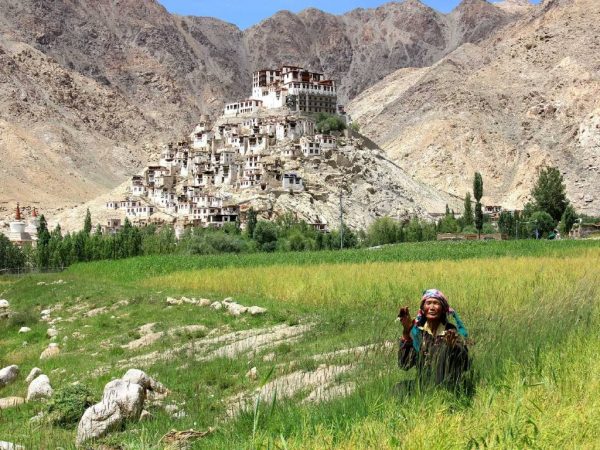 Chemrey Kloster Ladakh