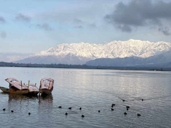 Dal See mit schneebedeckten Himalayagipfeln Kashmir