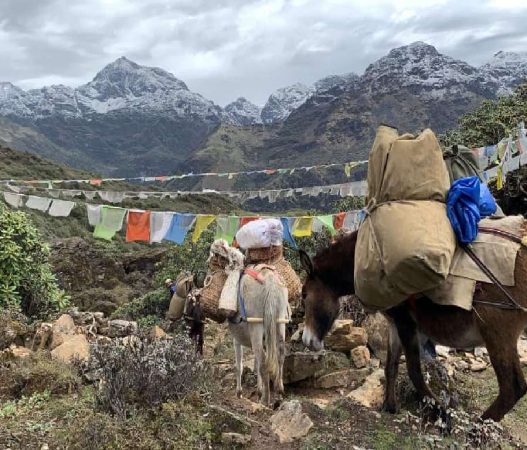 Trekking Gangkhar Puensum Bhutan