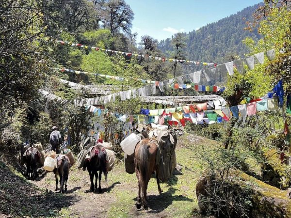 Trekkingmannschaft auf dem Weg zum Gangkhar Puensum Bhutan
