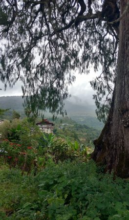 Frauenreise Ostbhutan mit Blick auf Yurbi im Lhuentse Tal